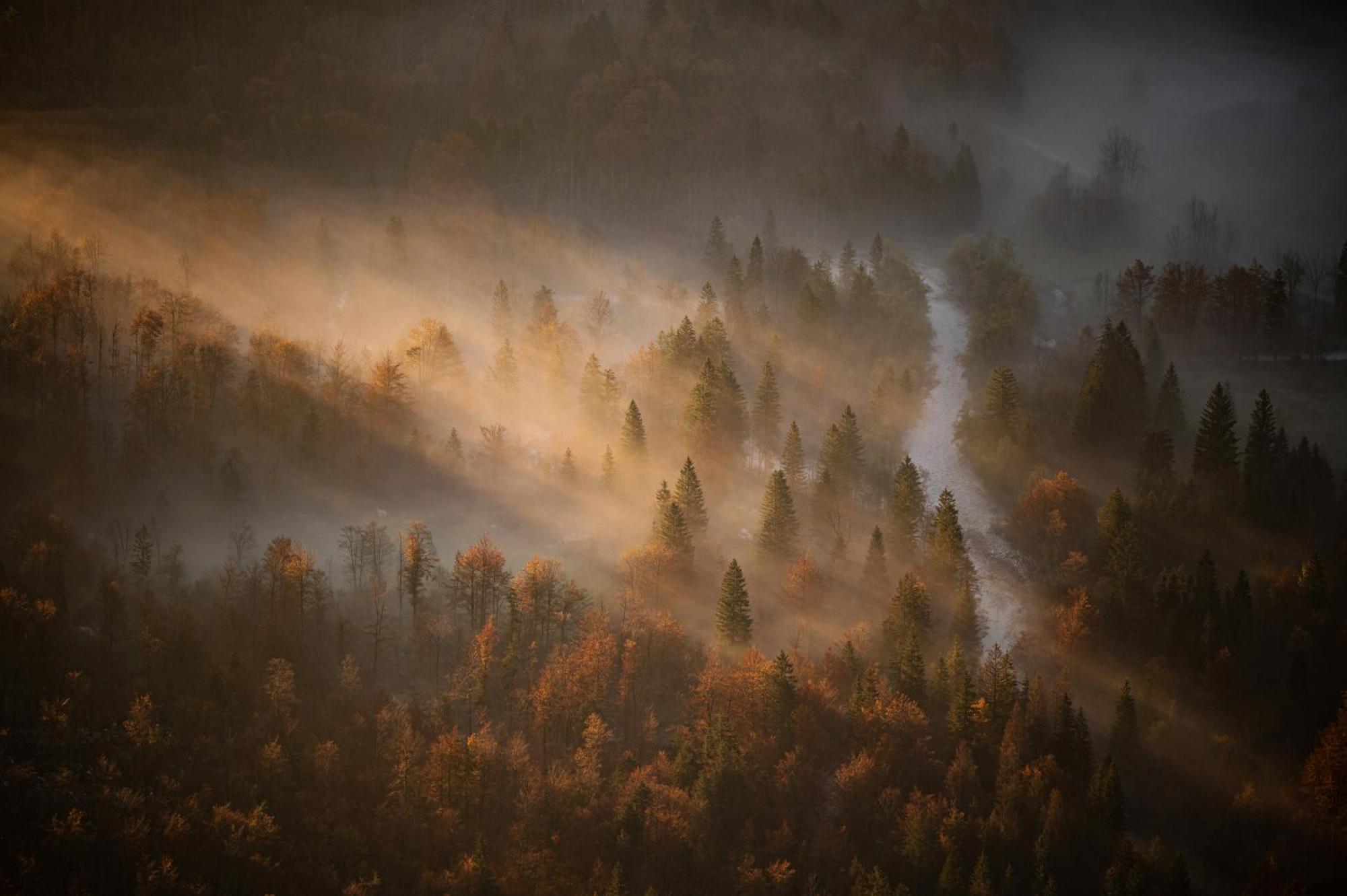 V Objemu Gora Lägenhet Bohinj Exteriör bild