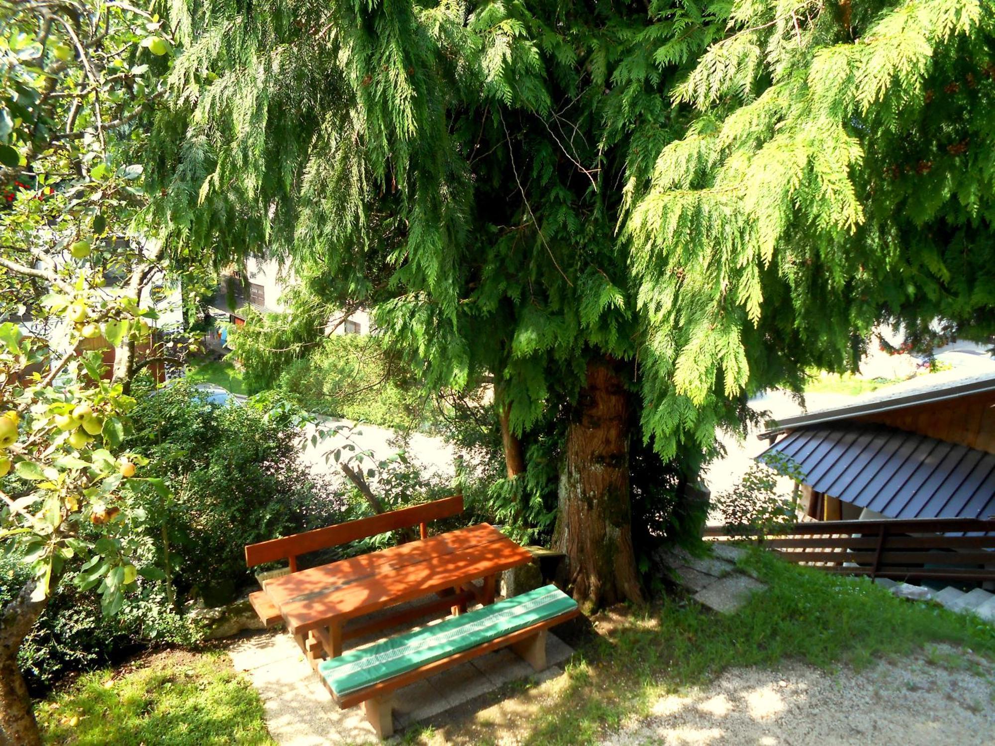 V Objemu Gora Lägenhet Bohinj Exteriör bild
