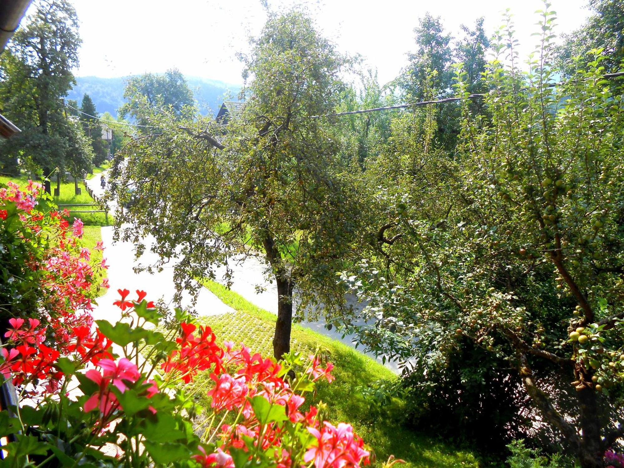 V Objemu Gora Lägenhet Bohinj Exteriör bild